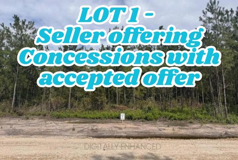Land, Ridgeville, SC