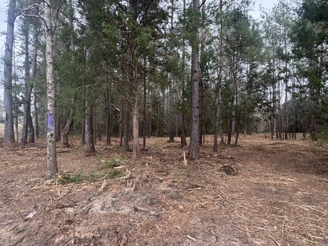 River Bottom Hunting Land