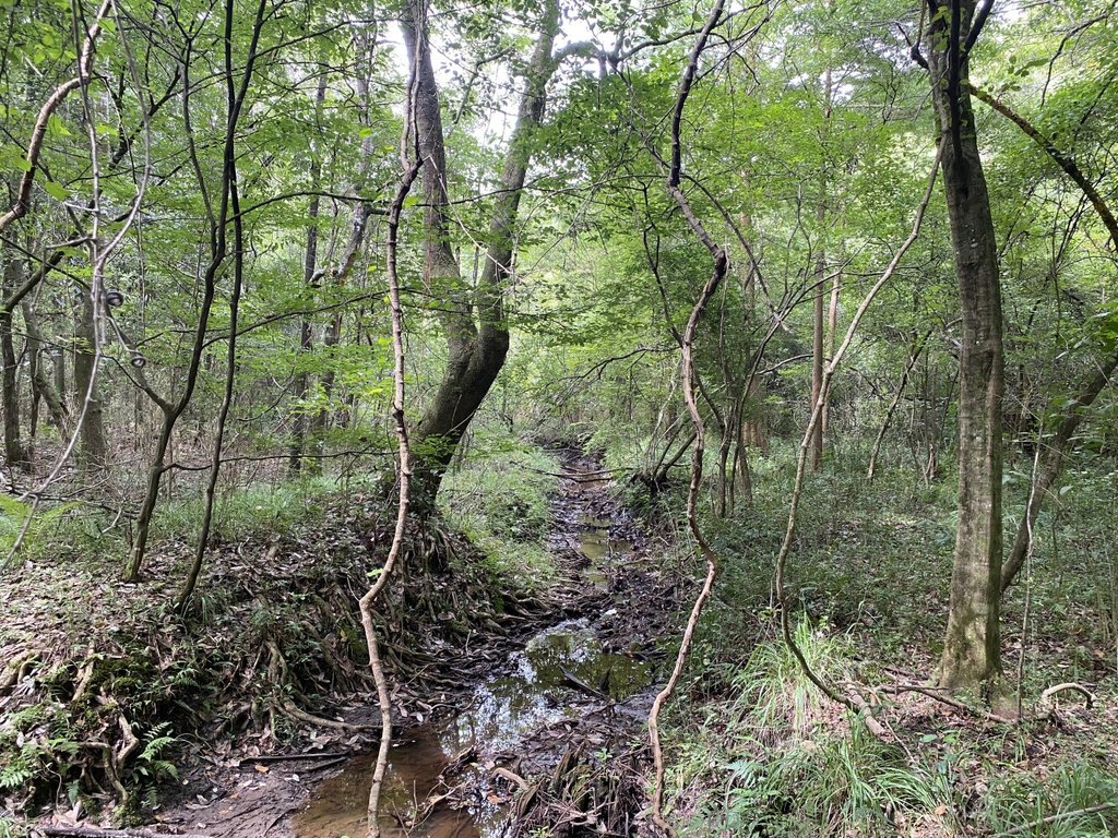 Picture 18