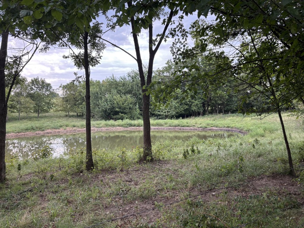 Picture 8