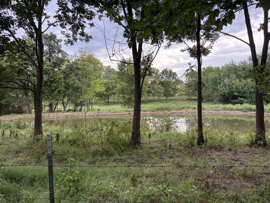 Picture 11