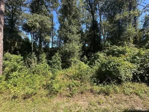 Land, Inverness, FL