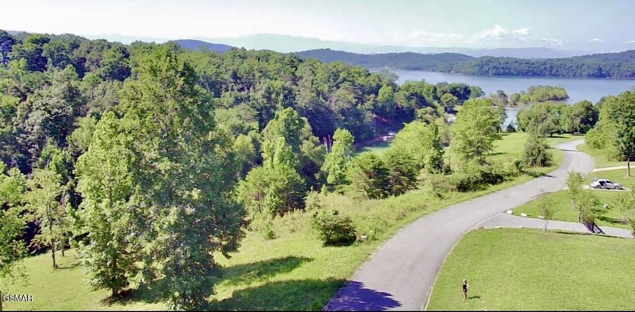 Douglas Lake Land with Access
