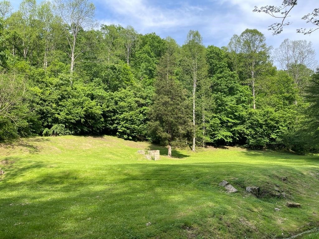 Residential Land in Inez, KY