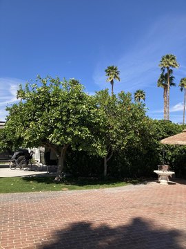 Corner Lot in Cathedral City