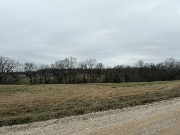 Picture 2