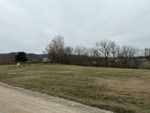Picture 4