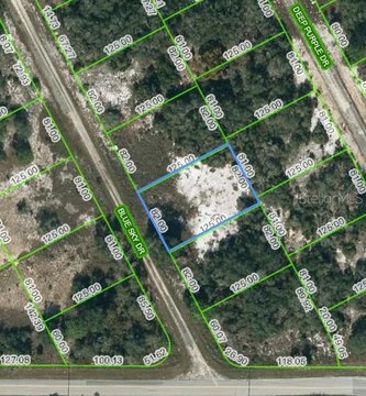 Residential Land in Lake Placid
