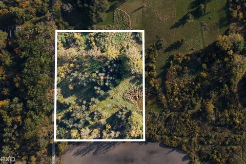 VACANT LAND, Capac, MI