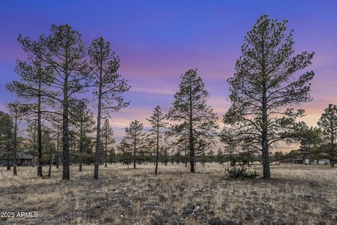 Flagstaff Homesite in Lockett Ranches