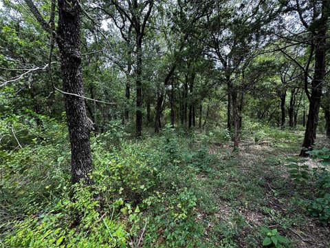 Gated Resort Wooded Homesite