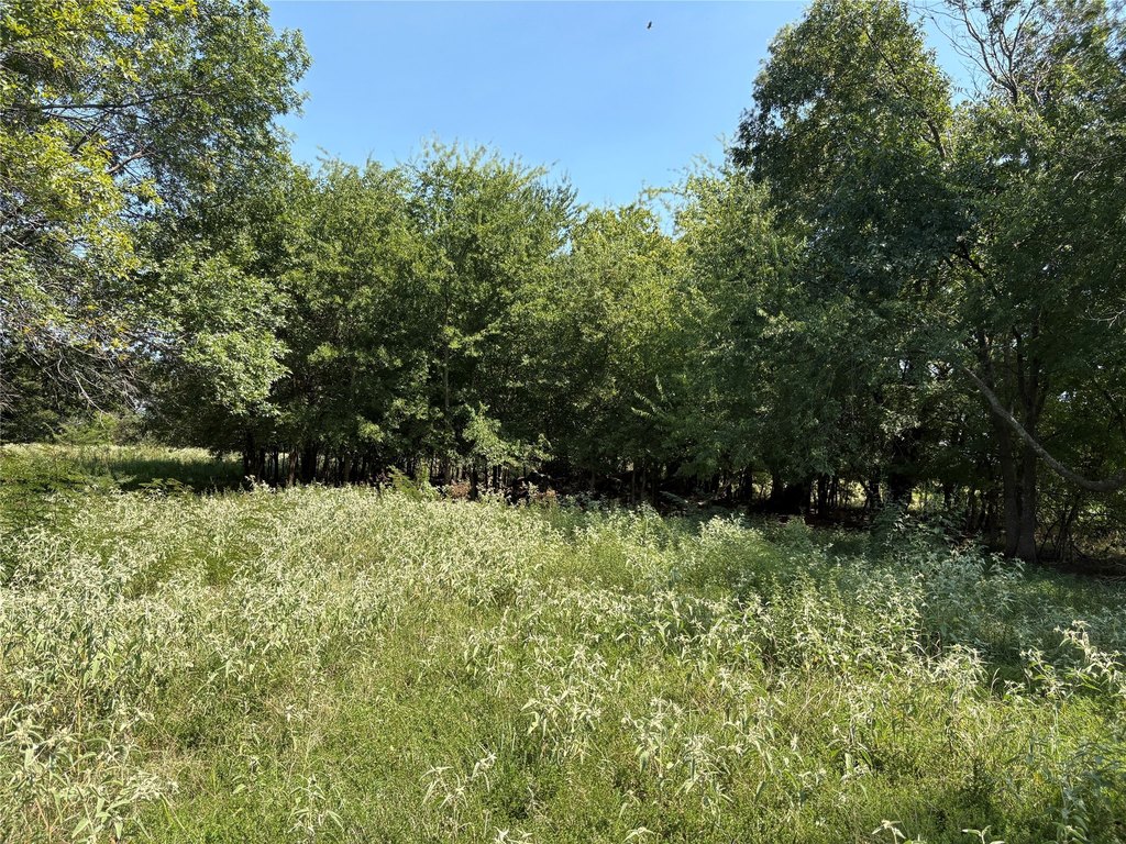 Picture 19