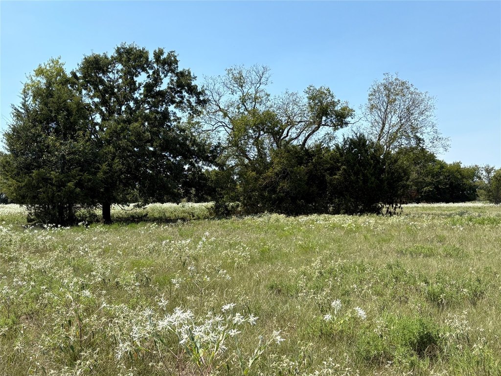 Picture 22