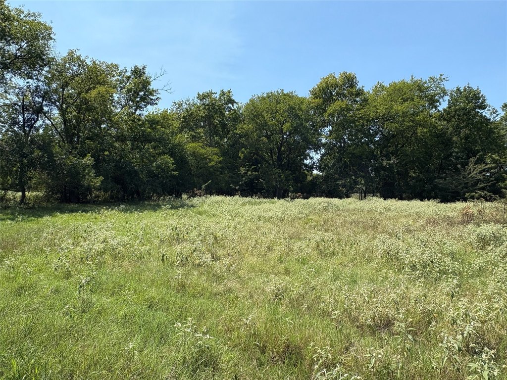 Picture 31