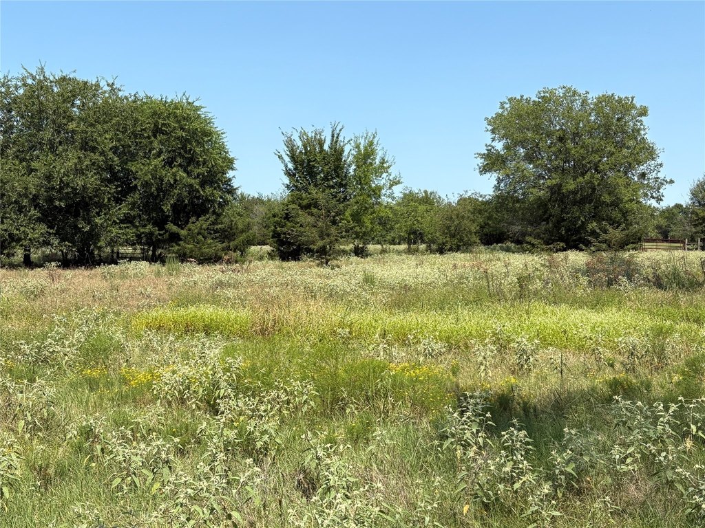 Picture 30