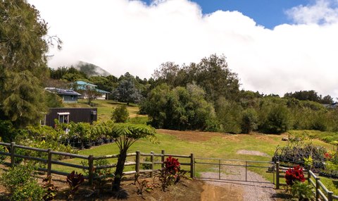 Land, Kamuela, HI