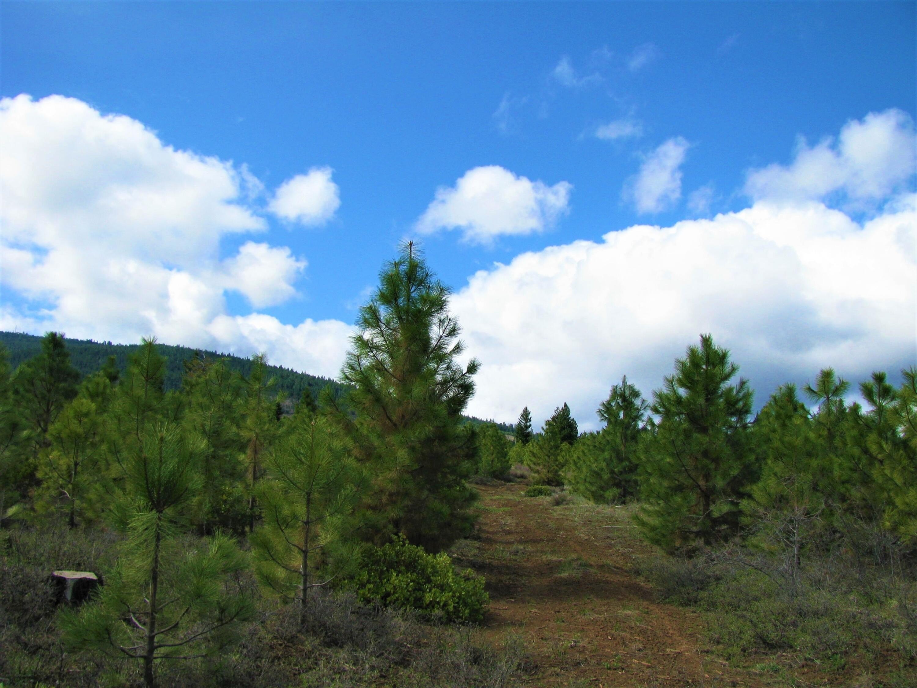 120 Acre Recreational Lot