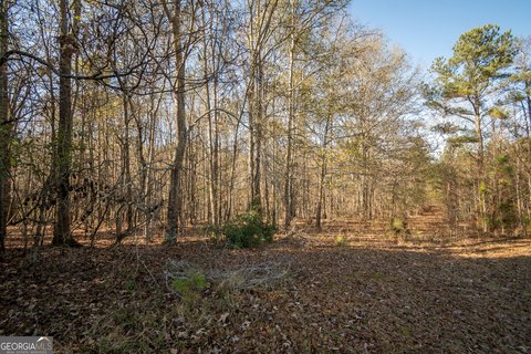 Jefferson, GA Land Opportunity