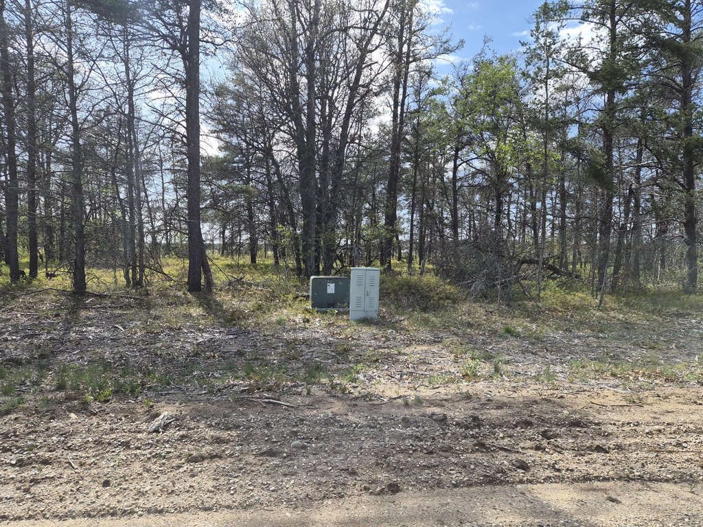 Picture 18