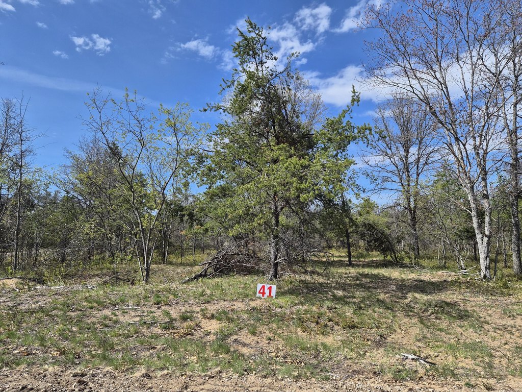 Picture 20