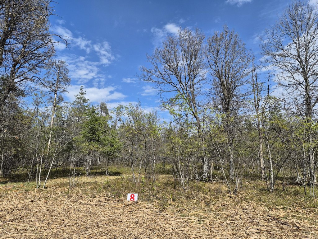 Picture 30