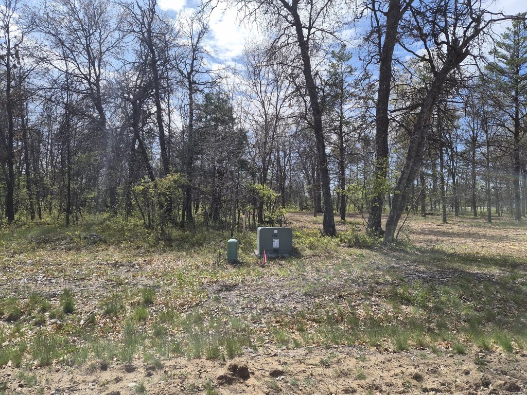 Picture 13
