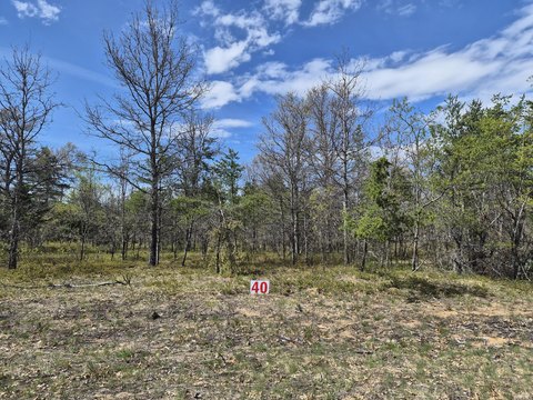 Residential Lots in Northwood Estates