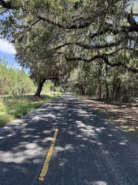 Land, Meggett, SC