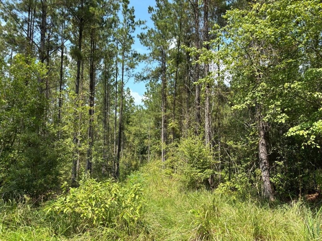 Picture 6