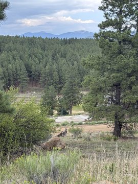 Residential Home Lot for Sale
