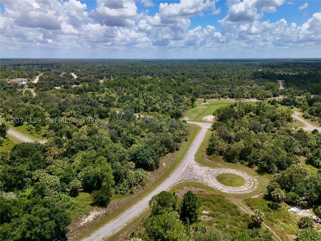 Picture 20
