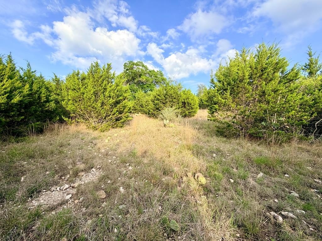 Picture 15