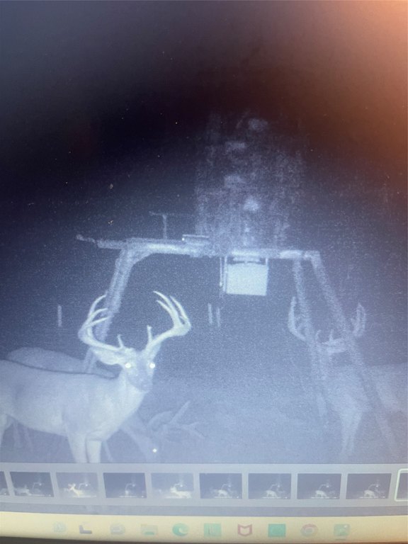 Picture 34