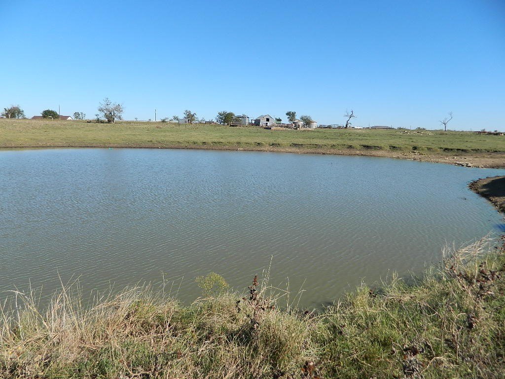Picture 18