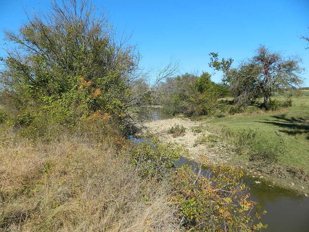 Picture 16