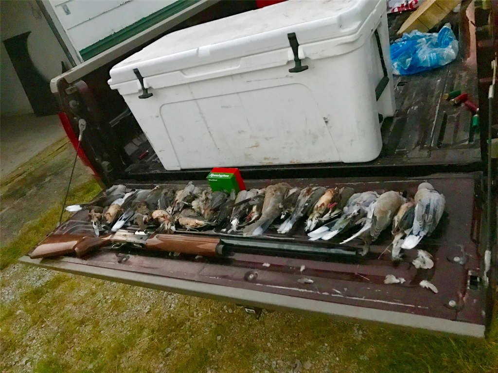 Picture 30