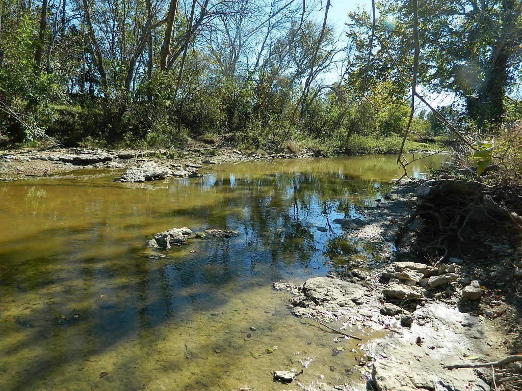 Picture 11