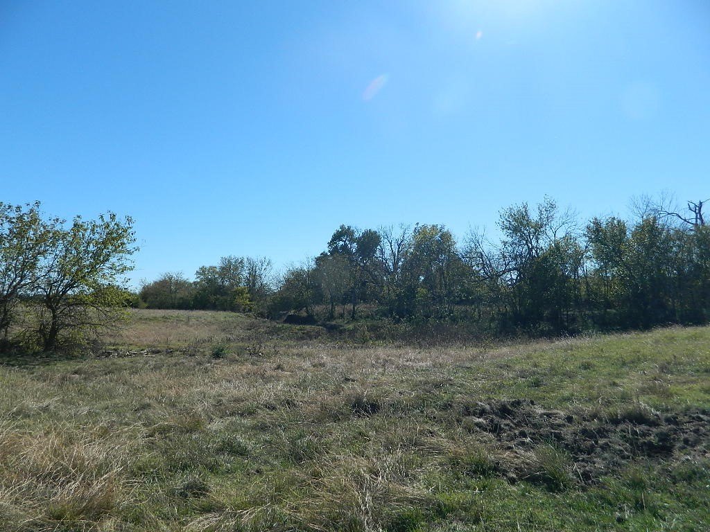 Picture 7