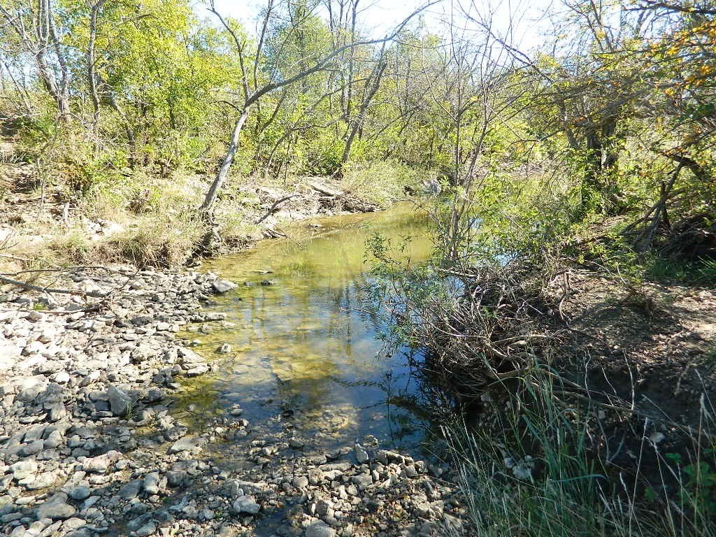 Picture 12