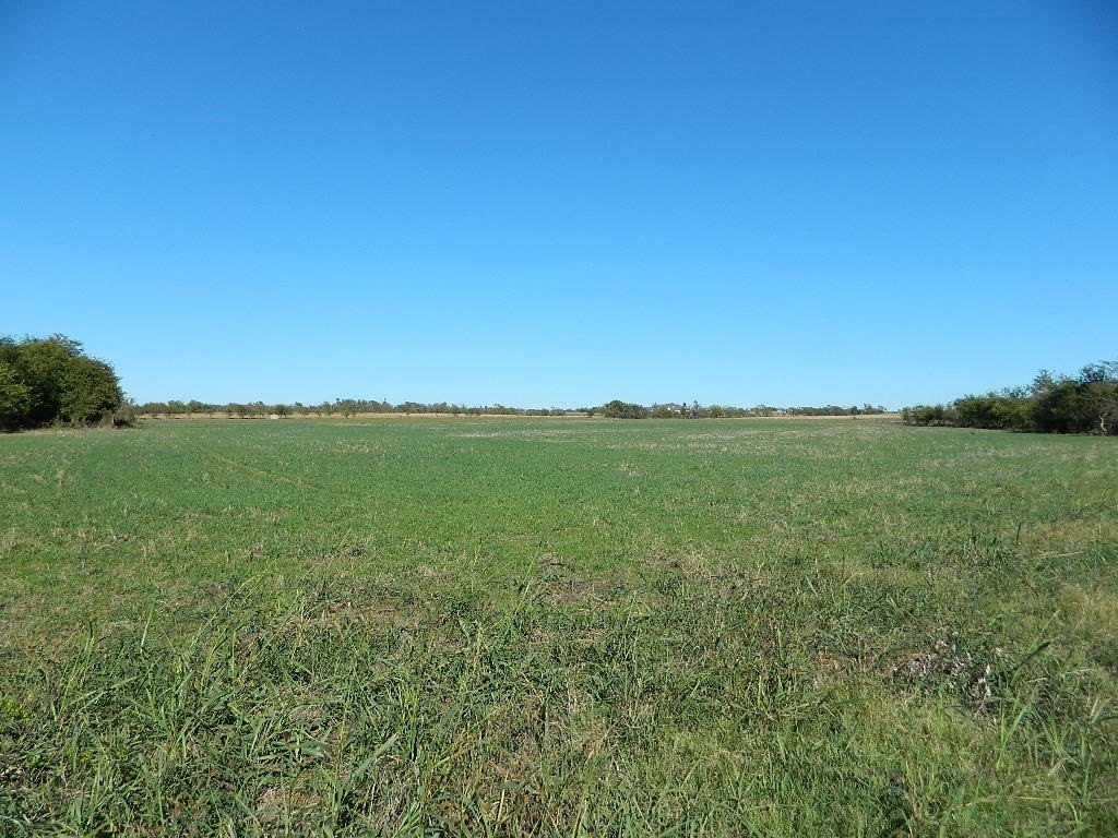 Picture 17