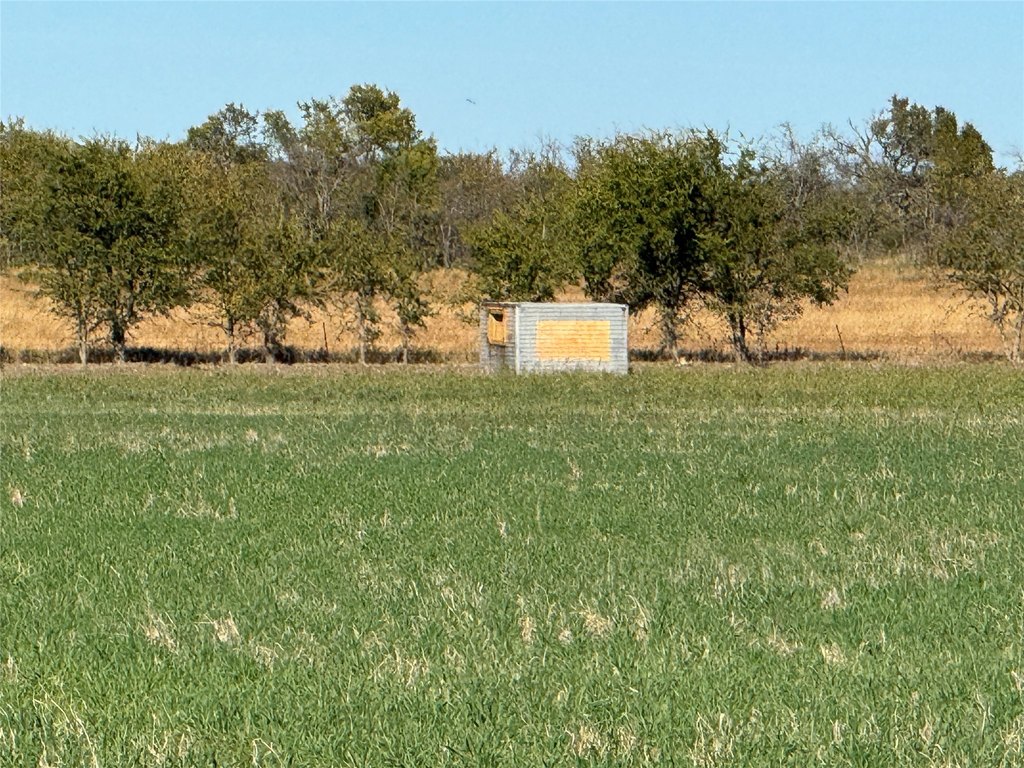 Picture 28