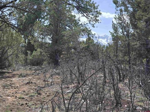 Residential Land Lot with Utilities