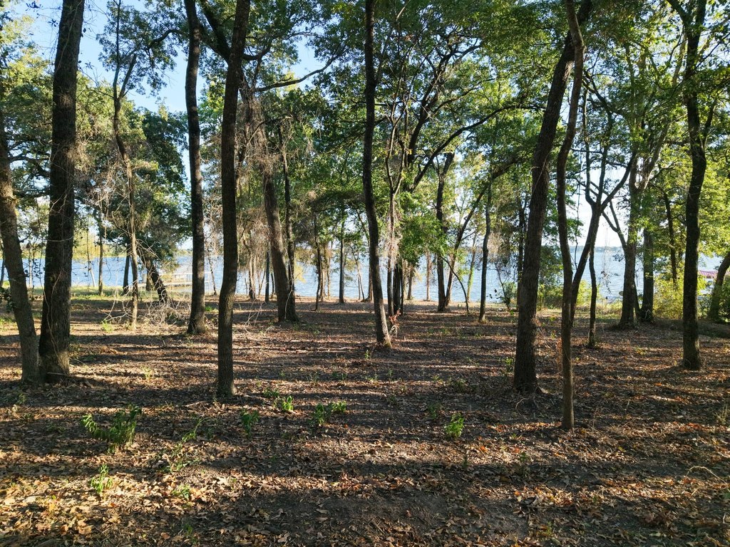 Picture 3