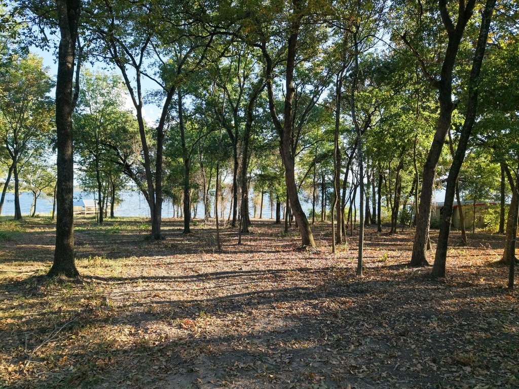 Picture 2