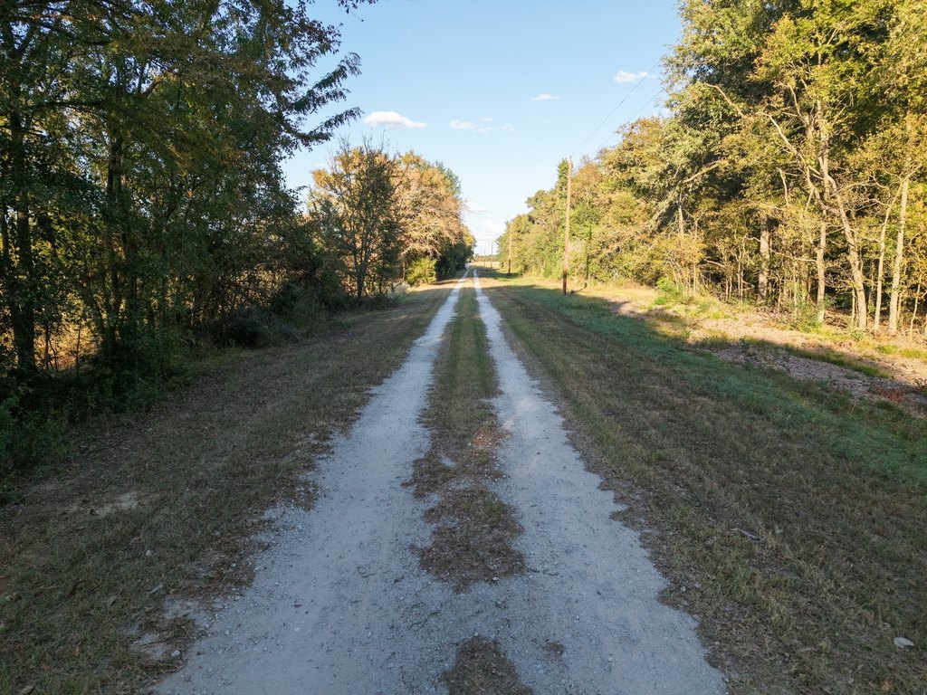 Picture 15