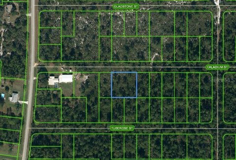 Residential Land in Lake Placid