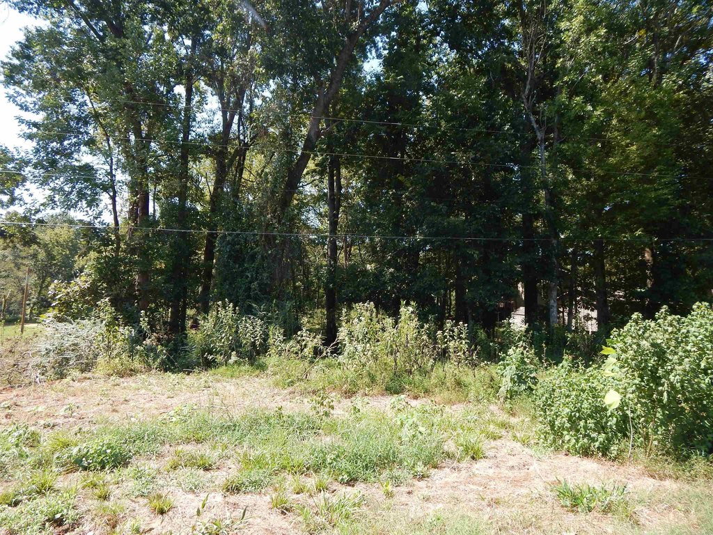Picture 4