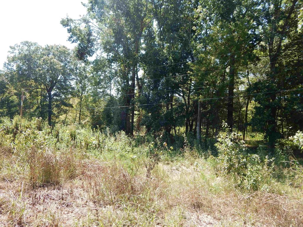 Picture 9