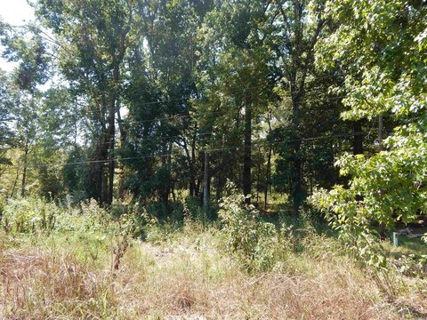 Vacant Land, Heber Springs, AR