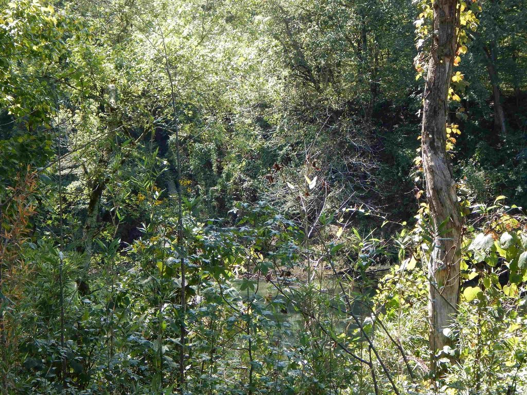 Picture 8
